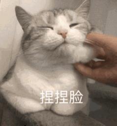 浜轰汉閮界埍鍚冪殑鎶惃,浜轰汉閮界埍鍚冪殑闈㈤