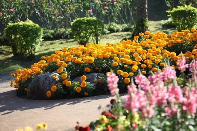 泰国特价签证,申请泰国旅行签证90天需要多少钱