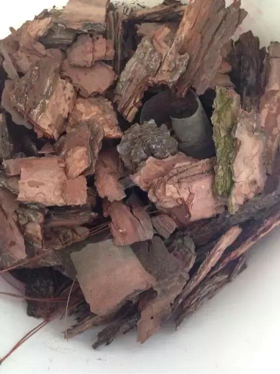 家养绿萝盆里的土越来越少怎么办,土养的绿萝要怎么样才不会黄叶子