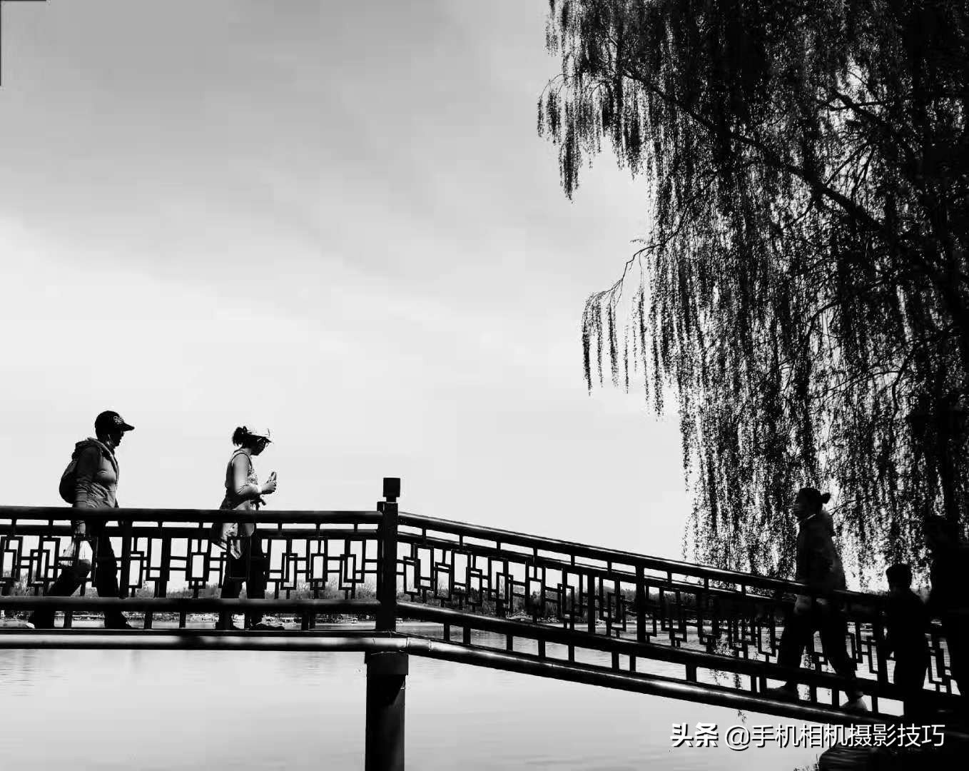 50张照片带你从不同的角度看世界,让你惊叹不已的15张照片