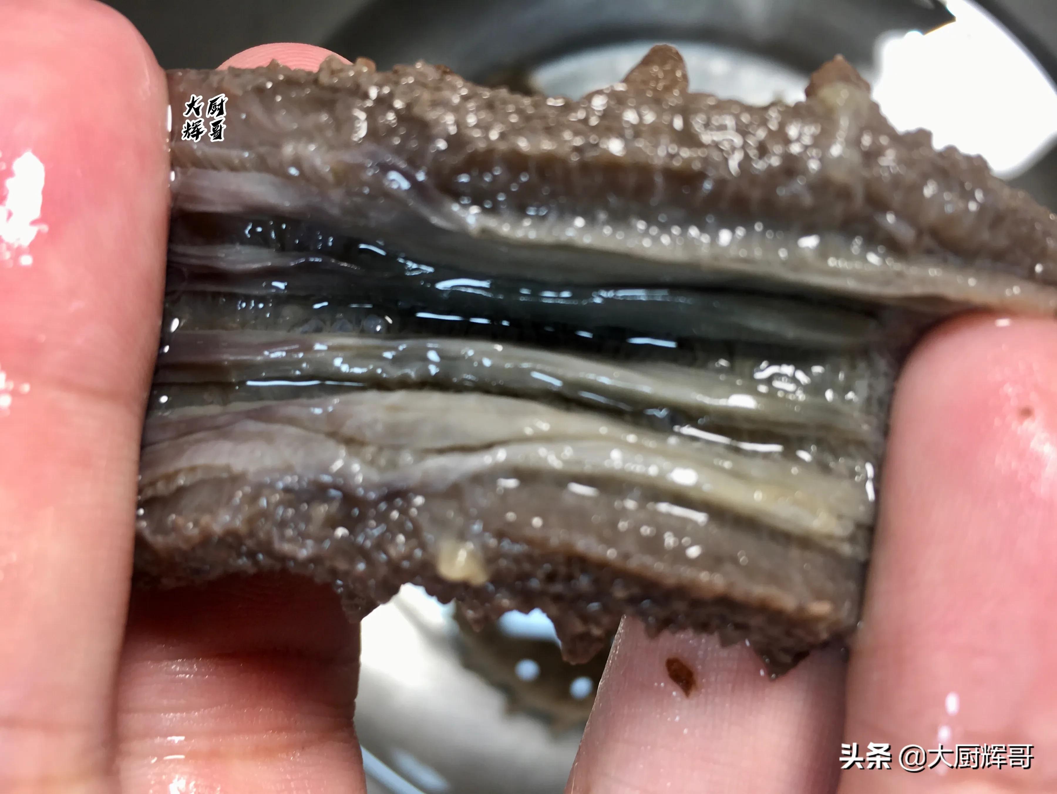 泡发好的海参怎么葱烧,怎样在家做葱爆海参