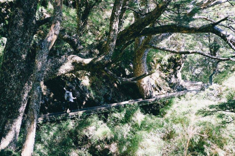 thenorthface登山徒步鞋,thenorthface防水鞋视频