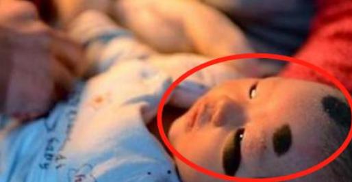 孕妇生下斑点狗宝宝,斑点狗一胎生宝宝