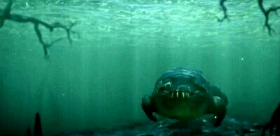 鳄鱼和沧龙还有鲨鱼谁更厉害,巨鳄和沧龙哪个比较厉害