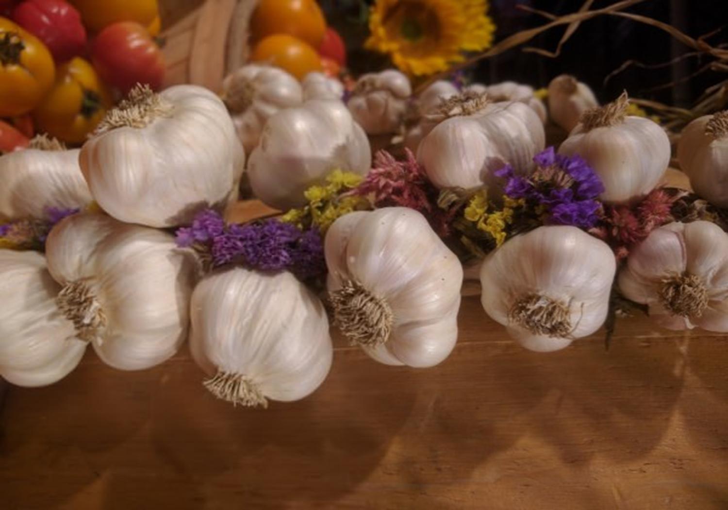 大蒜种植地里喷什么除草剂来除草,大蒜种植有妙招教你一招