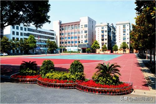 择校而居择优而邻,开学季选个靠谱的学区房