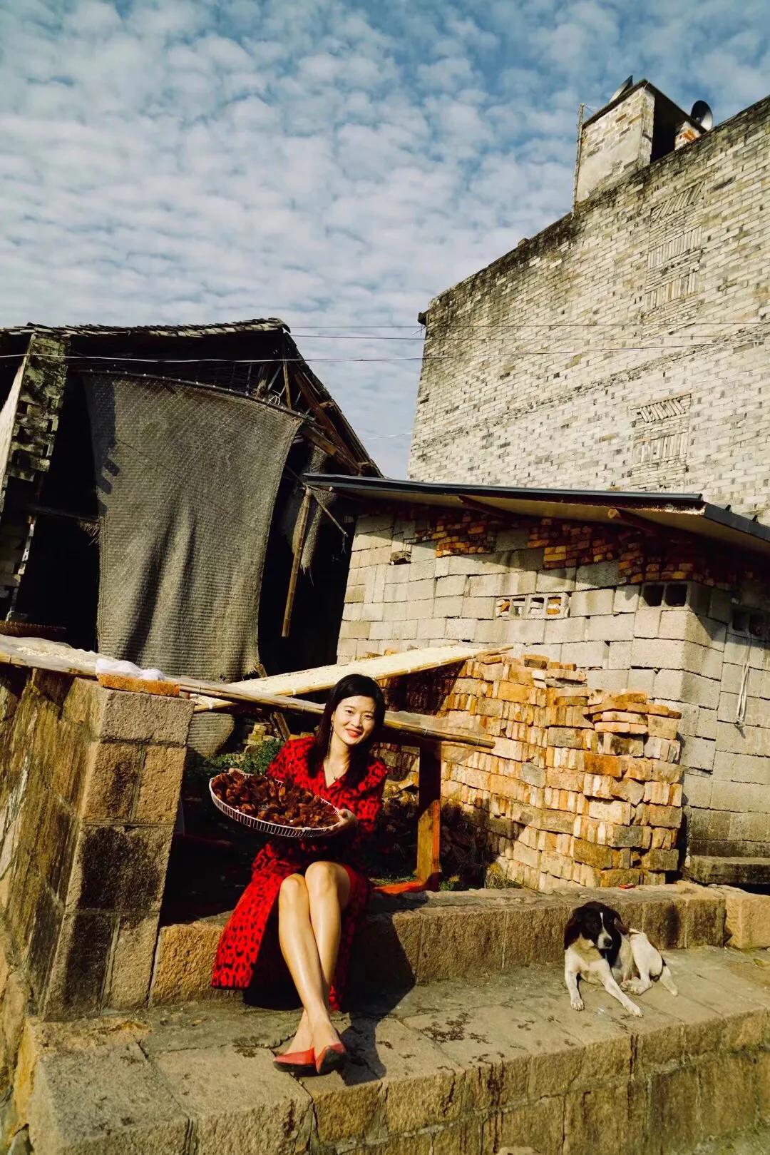 永嘉芙蓉古村红色故事,永嘉芙蓉古村要门票吗