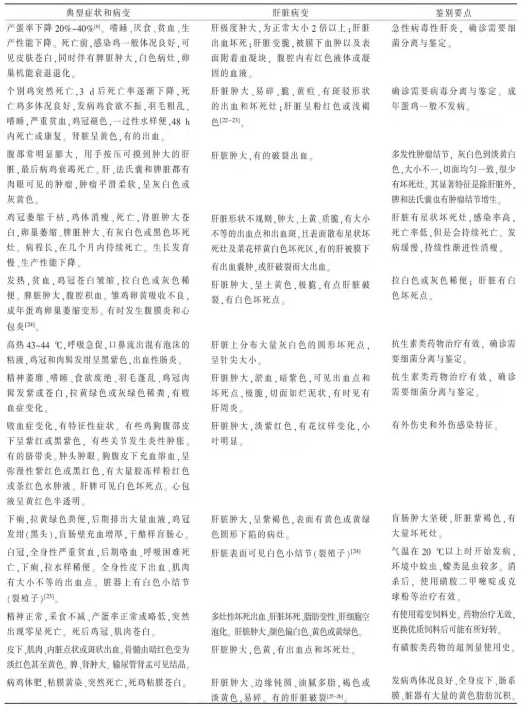 蛋鸡肝破裂出血鸡冠发白,蛋鸡肝脏破裂是什么原因