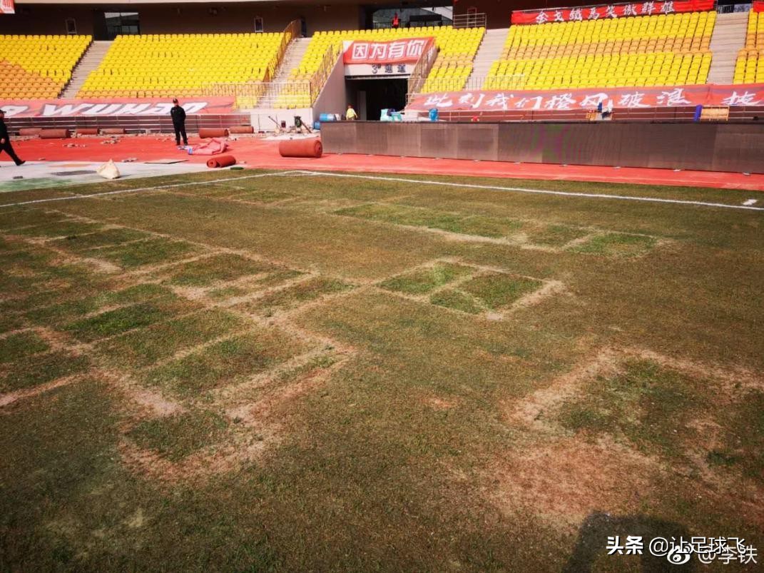 卓尔草皮喷绿漆,卓尔主场草皮事件结果