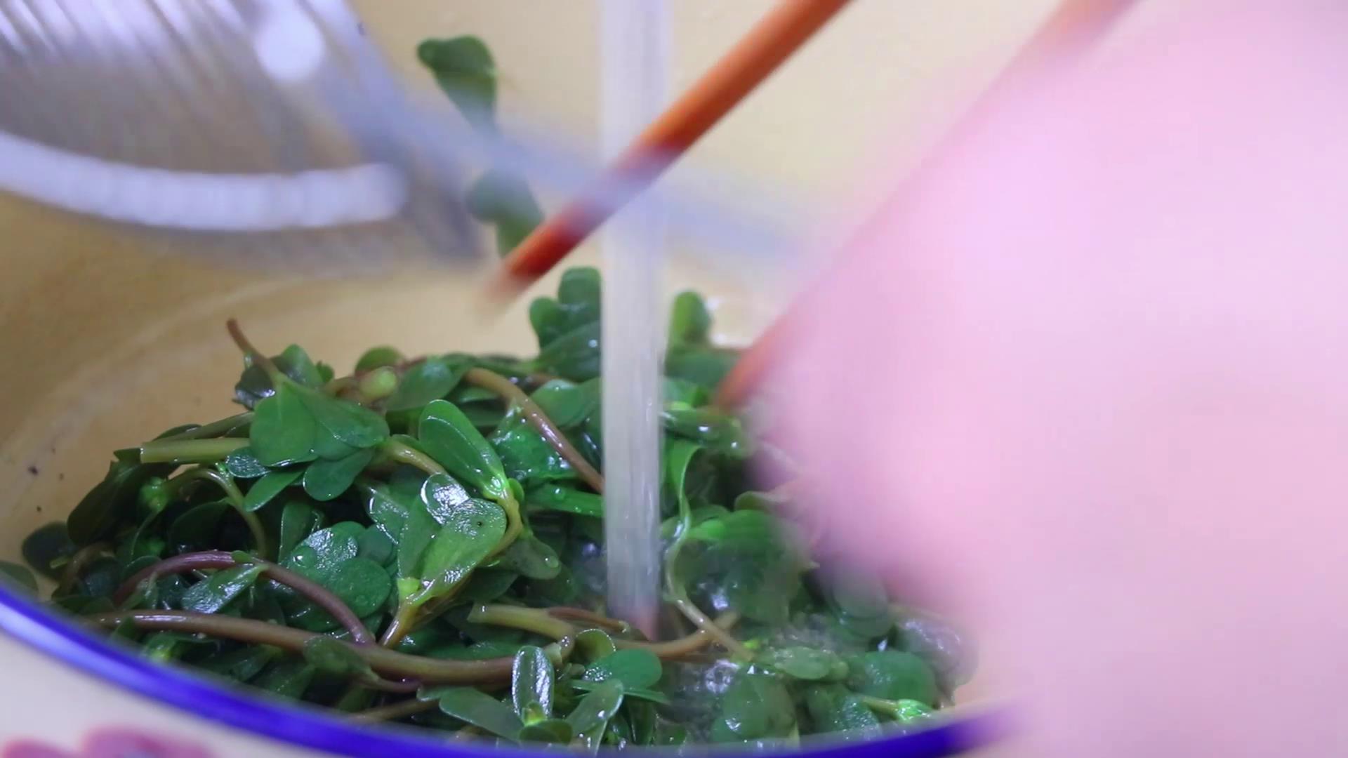 马齿苋怎么做才好吃又简单,马齿苋的家常做法怎么做更好吃