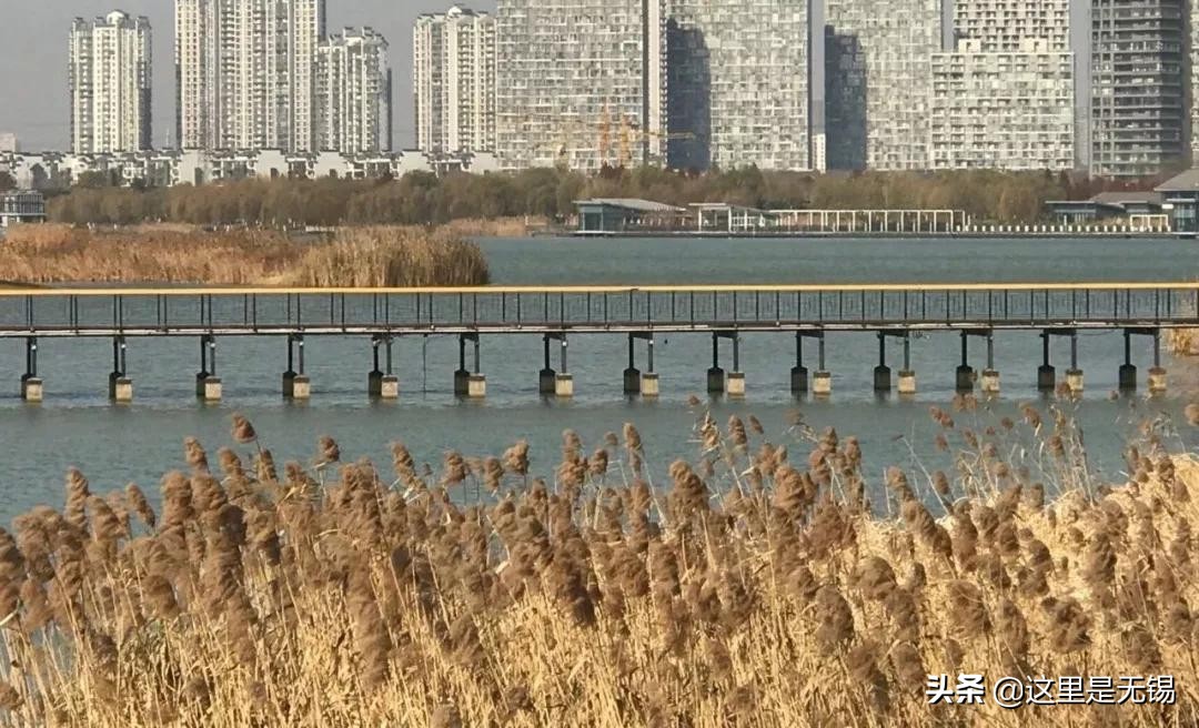 无锡秋游胜地最全推荐,无锡秋游自驾绝佳去处