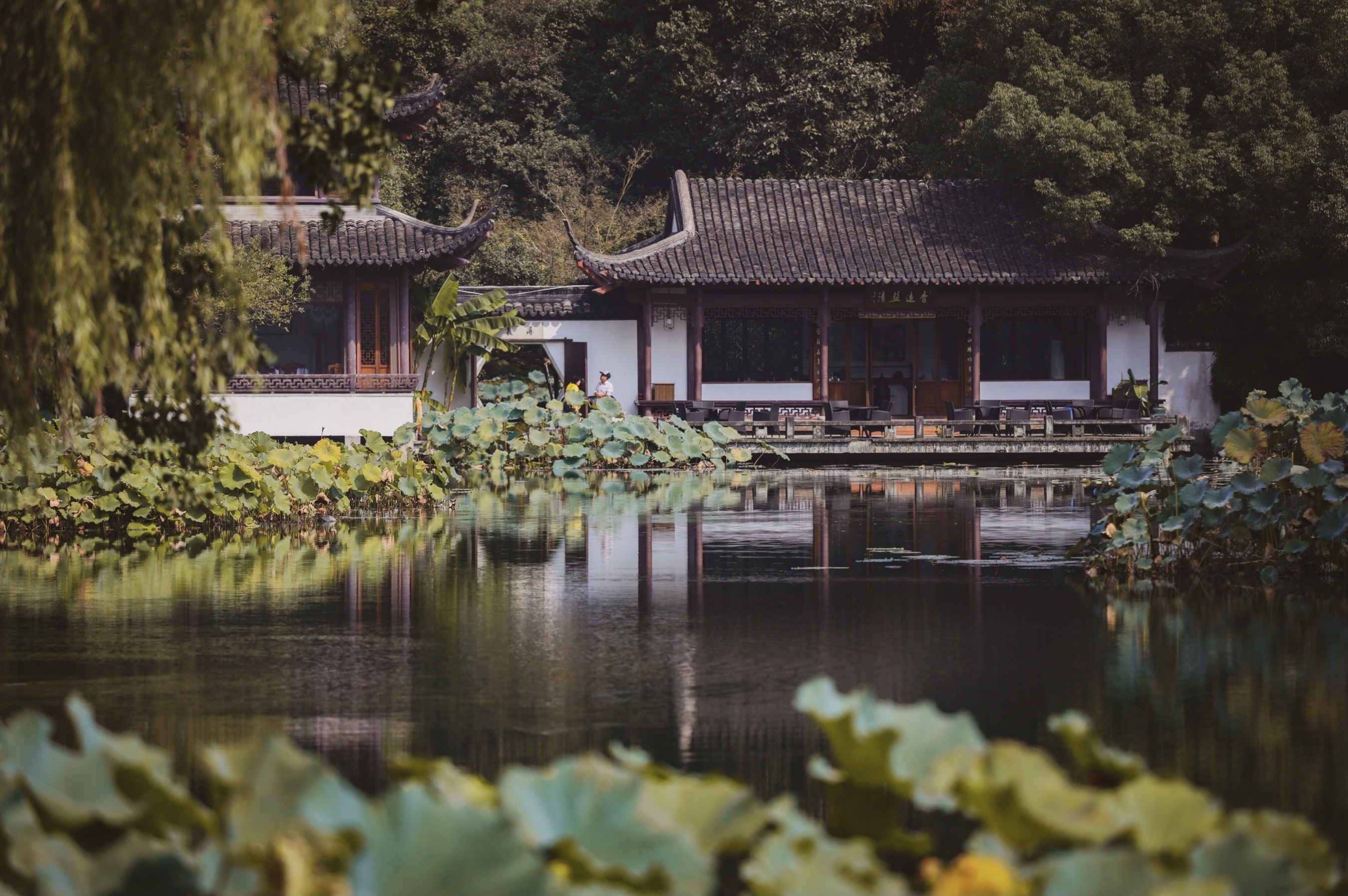 五一假期的杭州西湖,国庆节假期杭州西湖