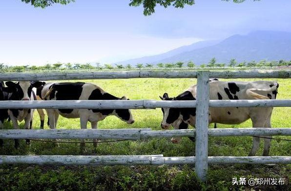 六一儿童节带着小朋友玩了一天,六一儿童节快乐游玩