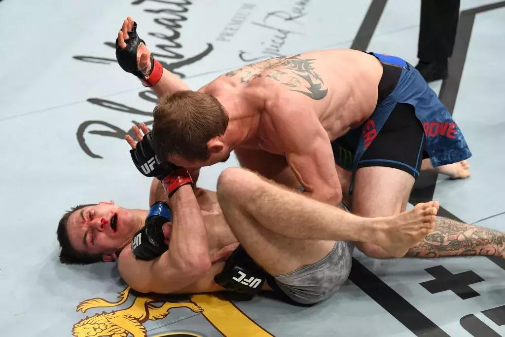 蝇量级比赛视频集锦,蝇量级最如同赛视频