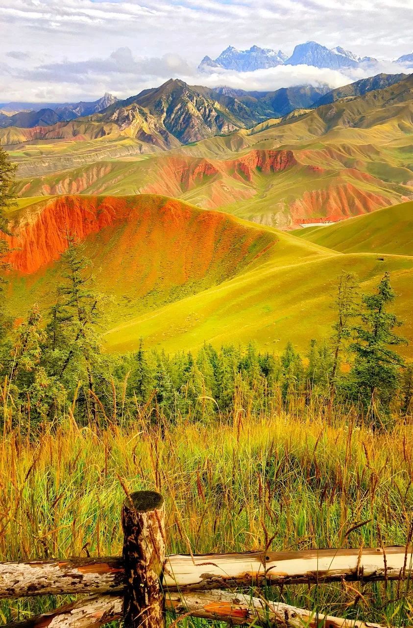 七月的青海湖美翻了,带你了解七月的青海