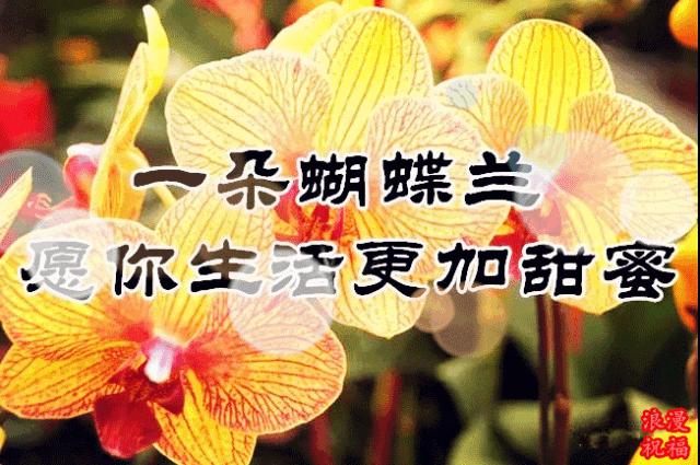三八妇女节问候公文形式,三八妇女节问候男人