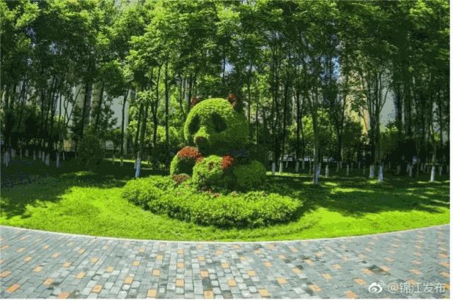 城市公园怎么玩,公园玩法