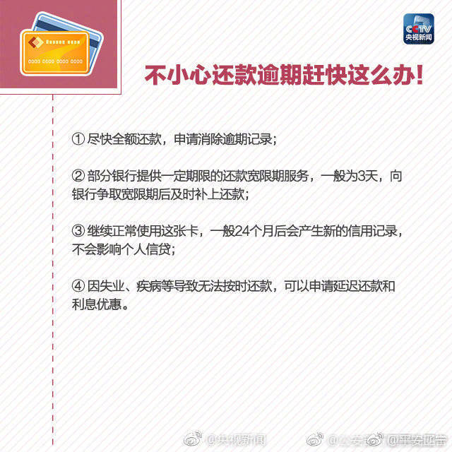 个人信用报告在哪里查,网查个人信用报告