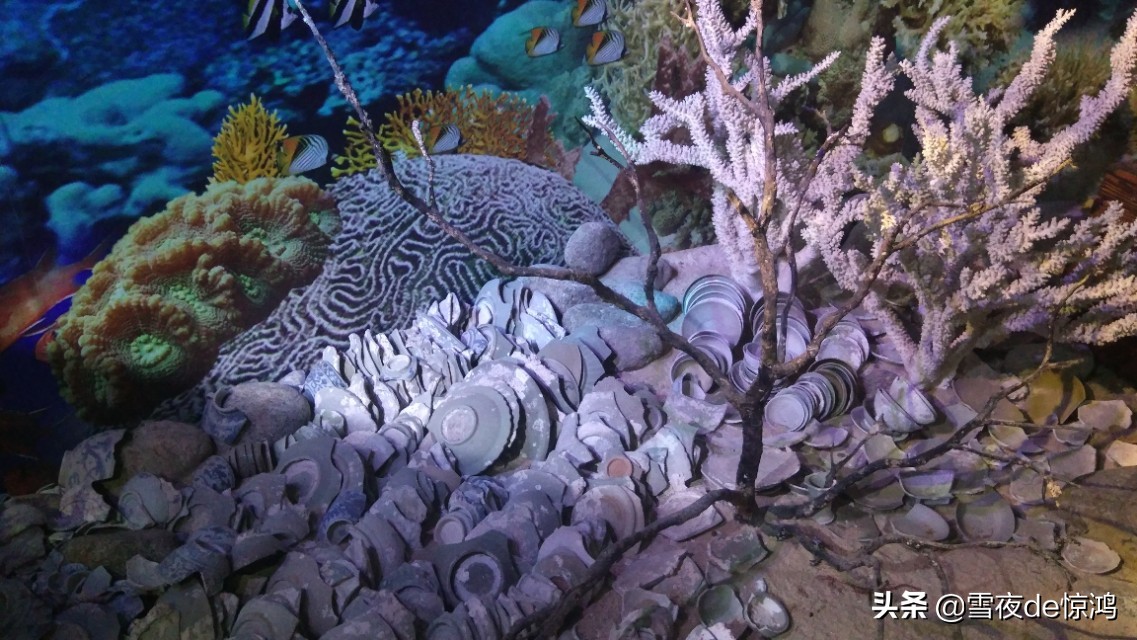 海南三亚分界洲岛,海南三亚之分界洲美景