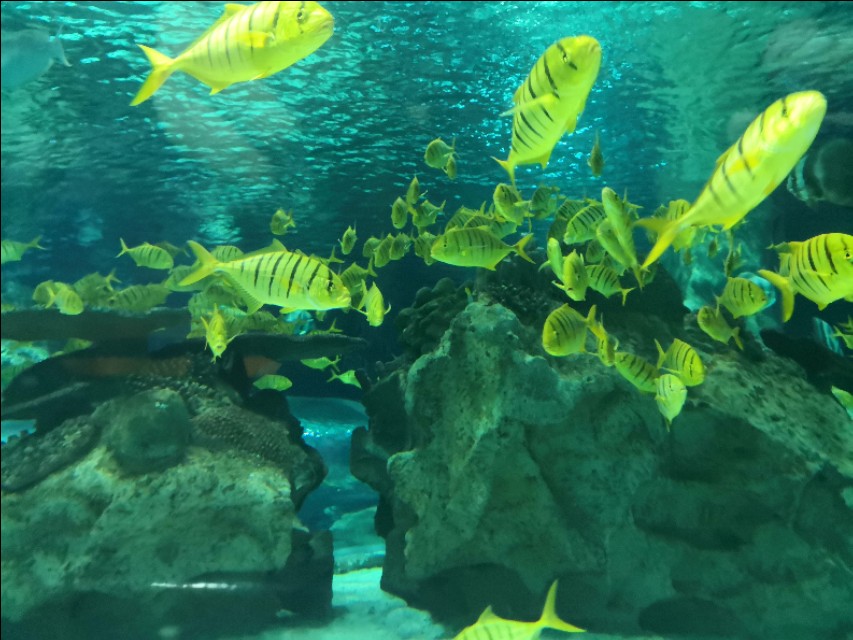 北京工体富国海底世界周一营业,北京工体富国海底世界旅馆