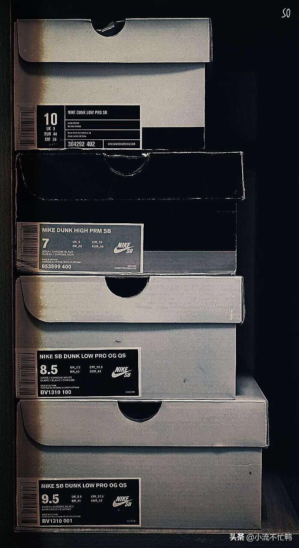 dunk明年还会火么,dunk2022款和老款有什么区别