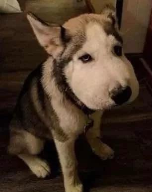 拔牙后应该怎么护理口腔,拔牙后怎么注意口腔卫生问题