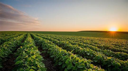 农业托管知识,托管农业是主流方向