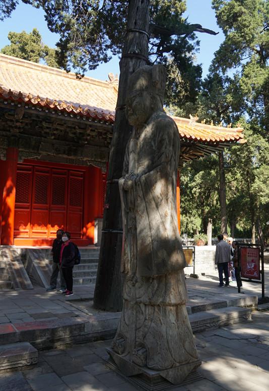 孔林是最大的氏族墓地吗,孔林最大墓葬群