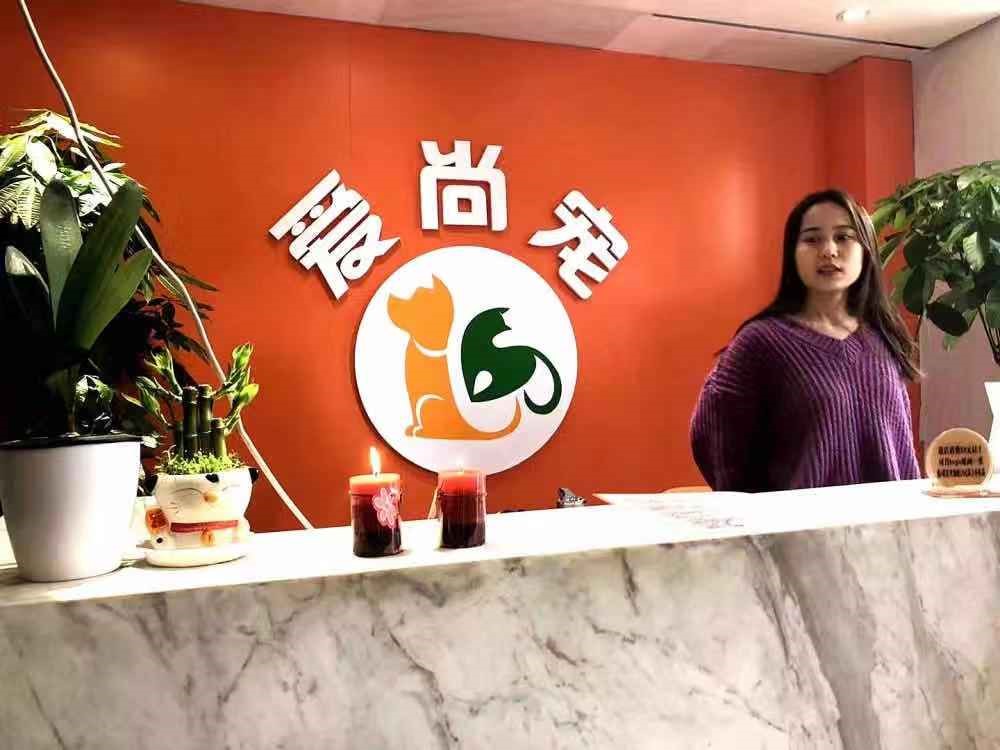 宠物行业比较适合创业的项目,宠物行业创业从哪里切入