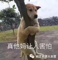 长泽雅美新垣结衣水原希子,水原希子最新造型