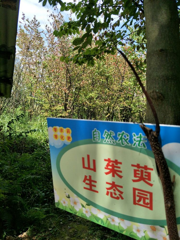 种地用的自制酵素,酵素种地效果怎么样