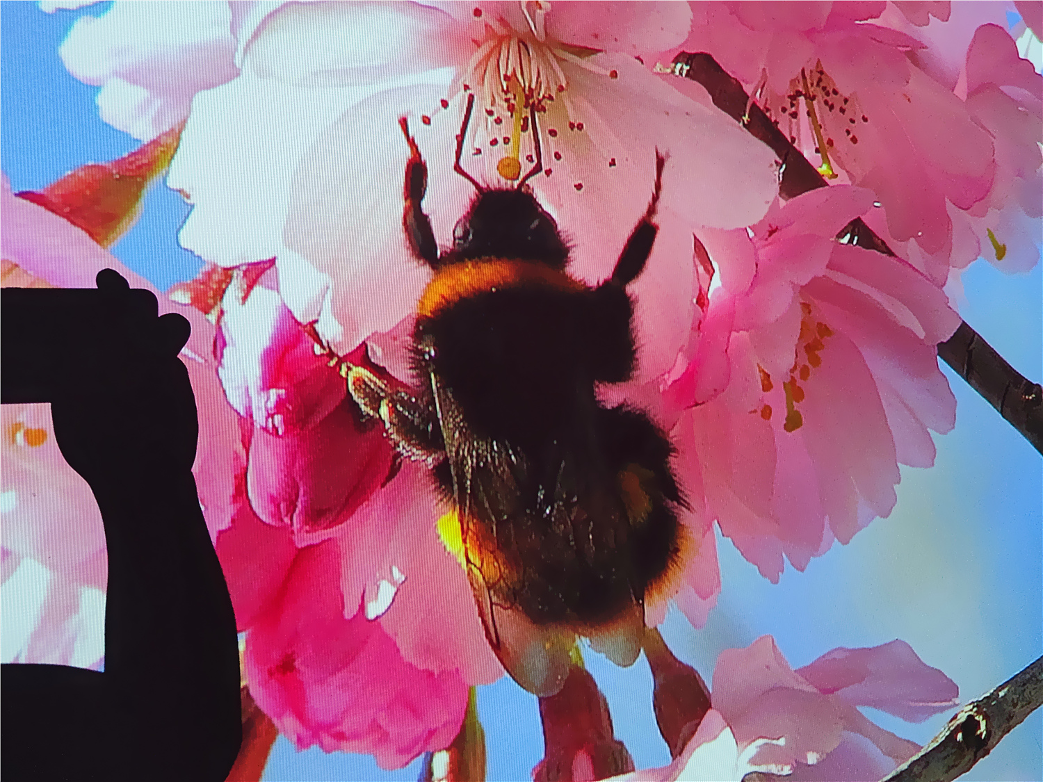 极米投影仪play超悦版测评,极米play超悦系统更新