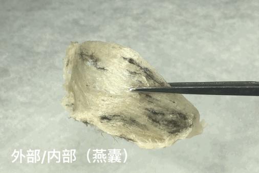 燕窝提问话术,燕窝讲实话