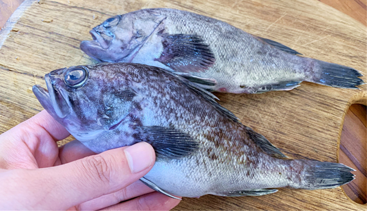 鱼汤怎么煮才好喝才有营养,清炖鱼汤怎么炖不腥而且最好吃