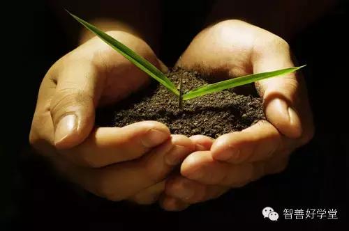 最具中国文化的十个汉字,50个最具中国文化的汉字