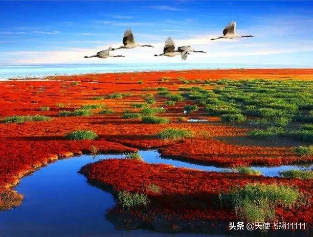 辽宁省内的著名旅游景区,全国302个5a旅游景区