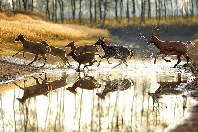 江苏旅游景点推荐亲子游,江苏省内适合亲子游的好地方