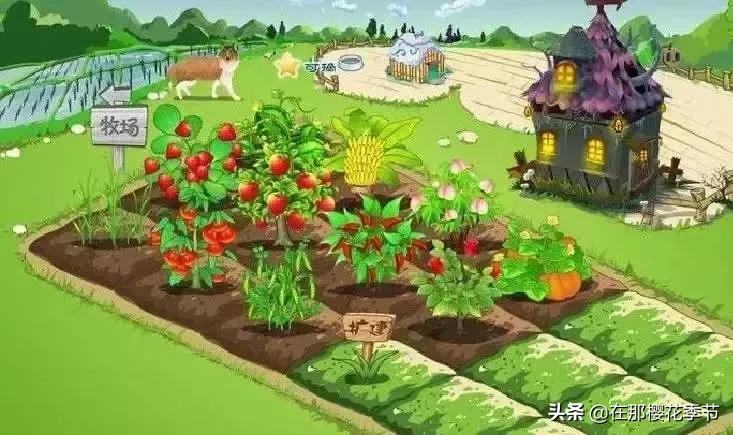 赣县惊现“真人版偷菜”，雌雄双盗凉凉落网