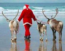 澳大利亚的圣诞节是怎么过的,澳大利亚圣诞节有什么特点