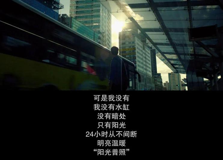 为了我开心，我爸杀人，《阳光普照》撕破每个中国家庭的伦理禁忌