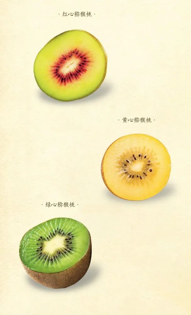 橙子橘子柚子柠檬树哪个开花最香,柚子柑橘橙子之间的关系