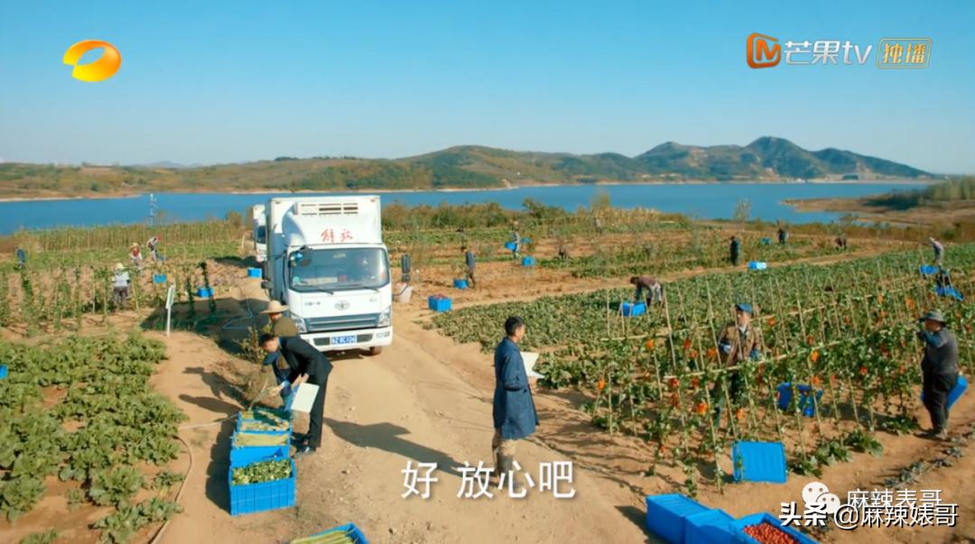 扶贫剧是什么,啥是扶贫剧