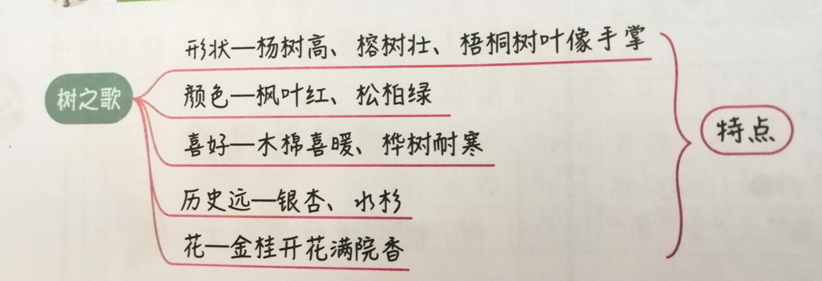二年级上册语文课文讲解重点归纳,二年级上册语文第3单元预习资料