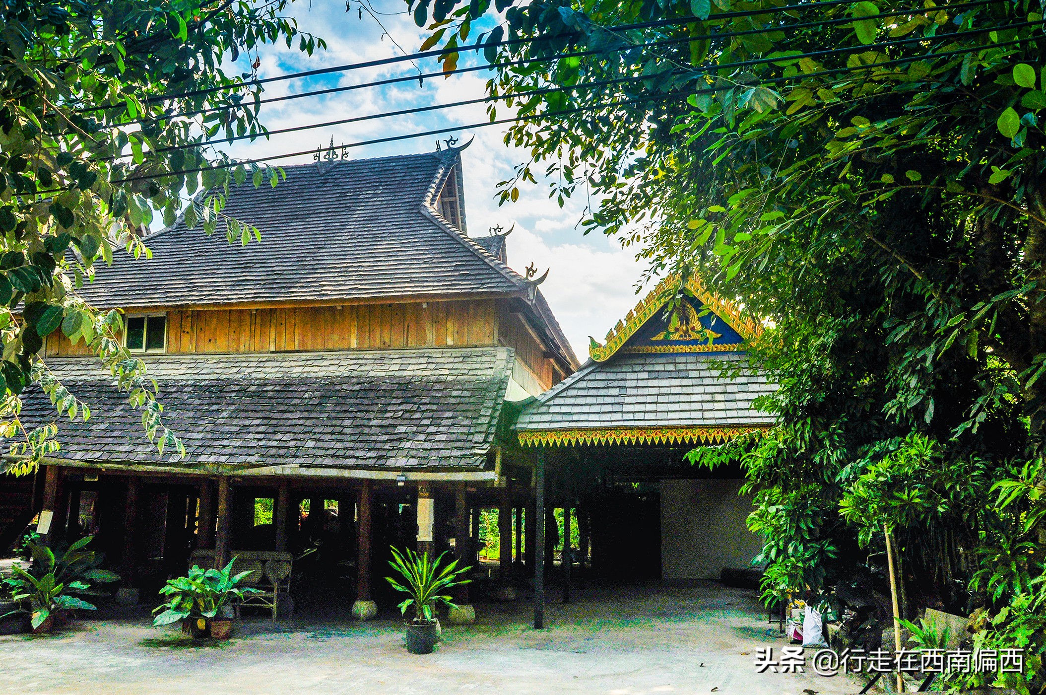 橄榄坝傣族园讲解图片,橄榄坝傣族园里面有些什么景色