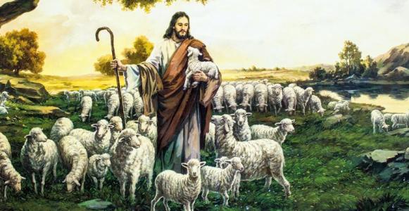 叶问4终于画上完美的句号,叶问4解析