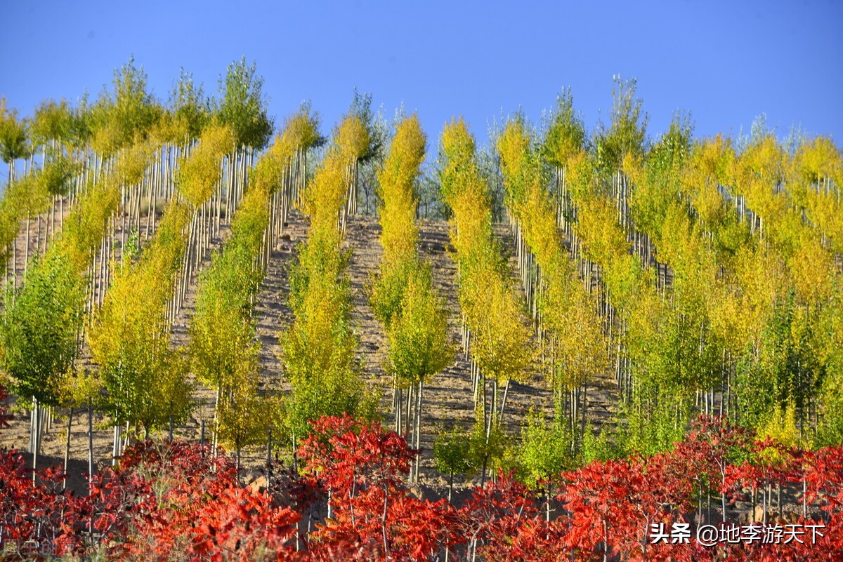 我国第一个被人类消灭的沙漠,我国被治理成功的三大沙漠