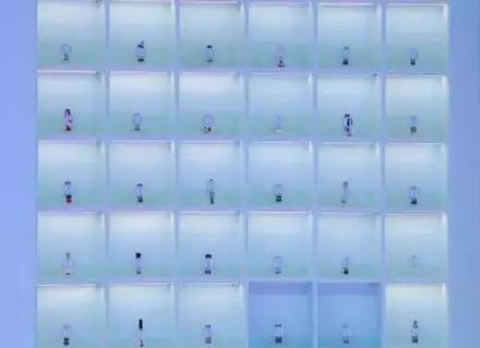 大s美妆节目,大s美妆节目推荐产品