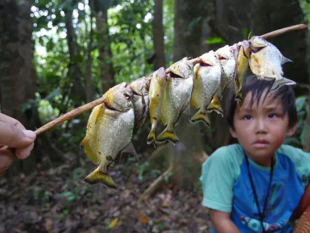 他叫辛巴，不是狮子王，8岁穿越12国：最好的教育，永远在路上