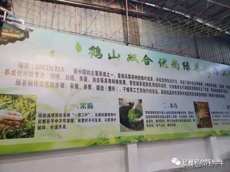 鹤山双好茶韵农耕研学基地值不值,江门茶文化研学基地