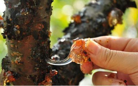 保健品骗局专骗老年人被拆穿视频,保健品骗老人西洋参